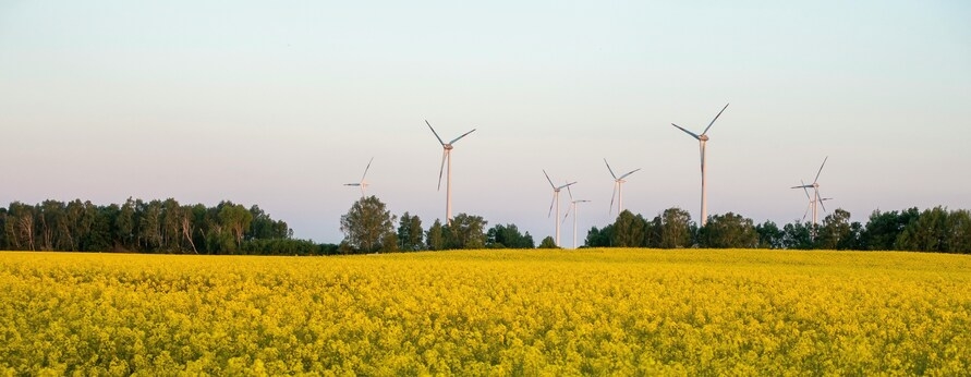 Jobs als Servicetechniker für Windenergieanlagen in Brandenburg